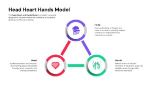 Triangular flow chart illustrating the Head Heart Hands concept for leadership presentations.