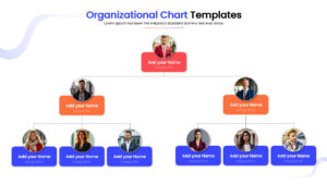Multi-level team structure diagram for business presentations with connecting lines.