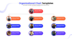 Professional organizational structure graphic with circular and hexagonal image frames.