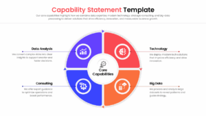 Circular four-part diagram illustrating core business capabilities like data analysis, technology, consulting, and big data