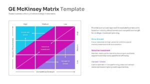 A GE McKinsey Matrix layout with detailed text descriptions for three core strategic investment levels.