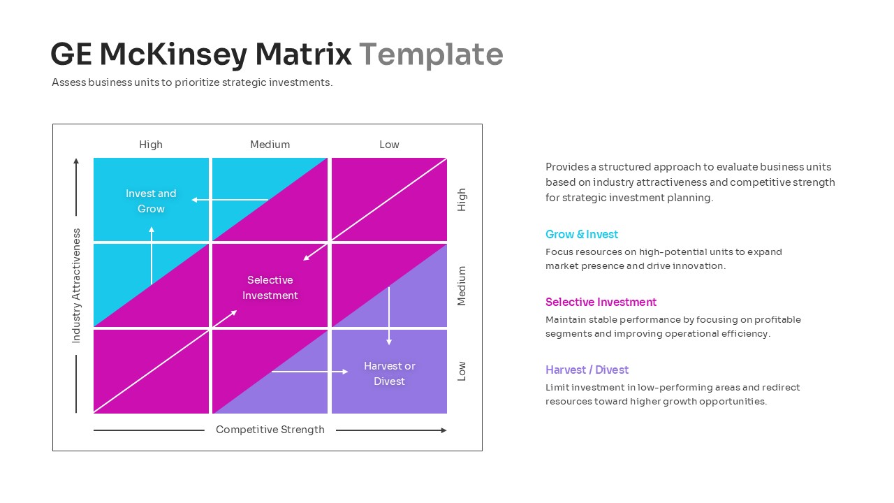 A GE McKinsey Matrix layout with detailed text descriptions for three core strategic investment levels.