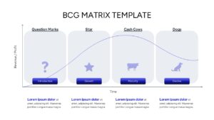 A curved line graph mapping the BCG Matrix categories across Introduction, Growth, Maturity, and Decline.