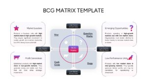An infographic slide featuring the BCG Matrix with detailed text descriptions for each product category.