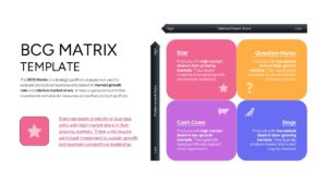 A presentation slide focusing on the Star quadrant with a pink icon and market leader descriptions.