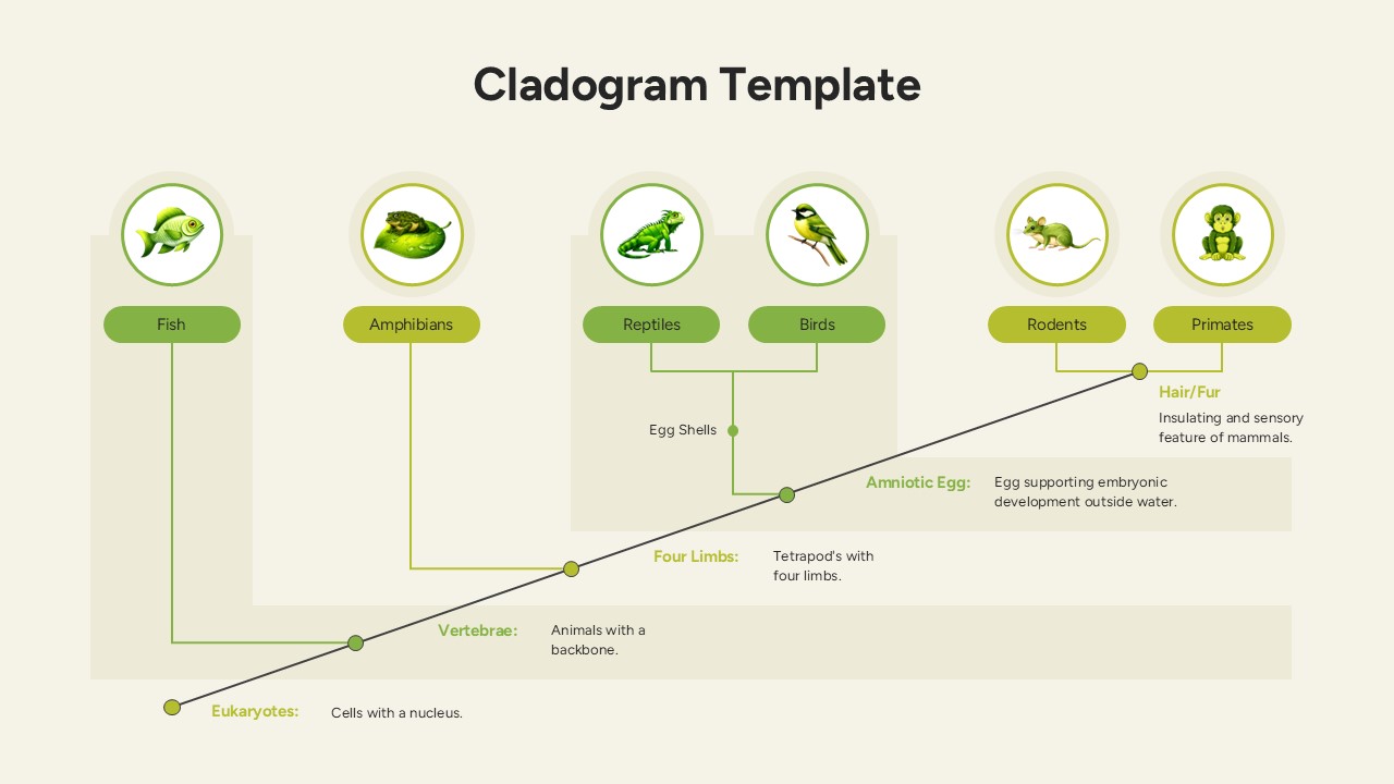 A green-themed cladogram mapping traits like cells with a nucleus and hair/fur.