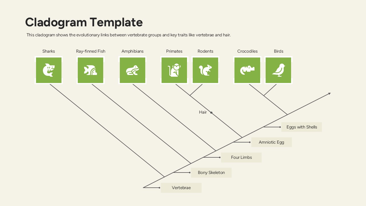 A green-themed cladogram mapping traits like cells with a nucleus and hair/fur.